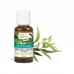 Mélange d'HE FORÊT D'EUCALYPTUS 30ml