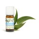 Huile essentielle d'Eucalyptus Globulus - DIRECT NATURE