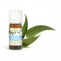 Huile essentielle d'Eucalyptus Globulus 10ML