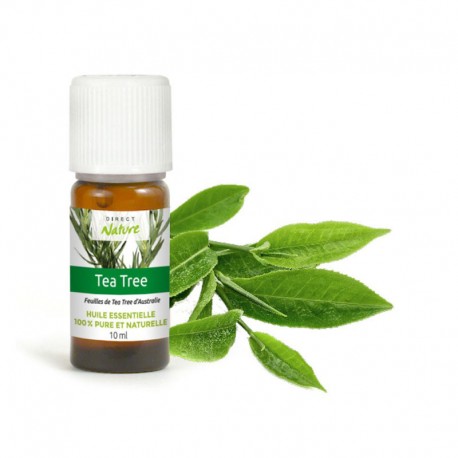 Huile essentielle de Tea tree - DIRECT NATURE