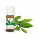 Huile essentielle de Tea Tree 10ML