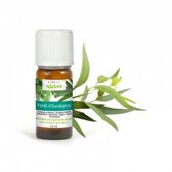 Mélange d'HE FORÊT D'EUCALYPTUS 10ml