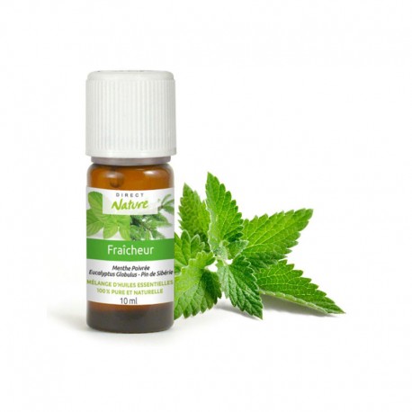 Huile essentielle de Menthe Poivrée - Flacon goutte 10ml - Shopping Nature