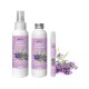 Eco-Recharge parfum d'ambiance Promenade en Provence 100 ml - DIRECT NATURE
