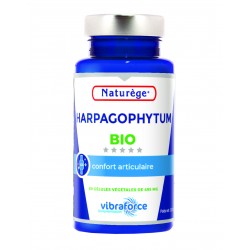 Harpagophytum 60 gélules
