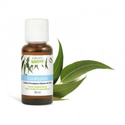 Huile essentielle d'Eucalyptus Globulus 30ML